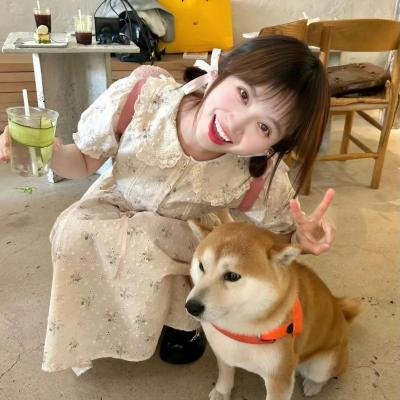 新小屁孩日记